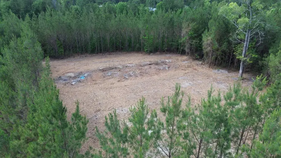 4 Highway 311, Cross, SC 29436 - #2