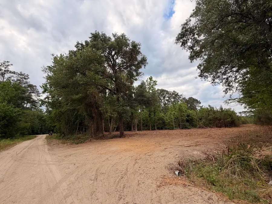 0 Varnadoe Road, Islandton, SC 29929 - #3