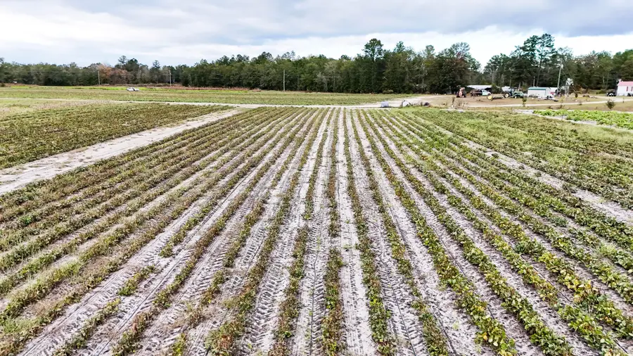 0 Chavis Road, Hilda, SC 29813 - #2