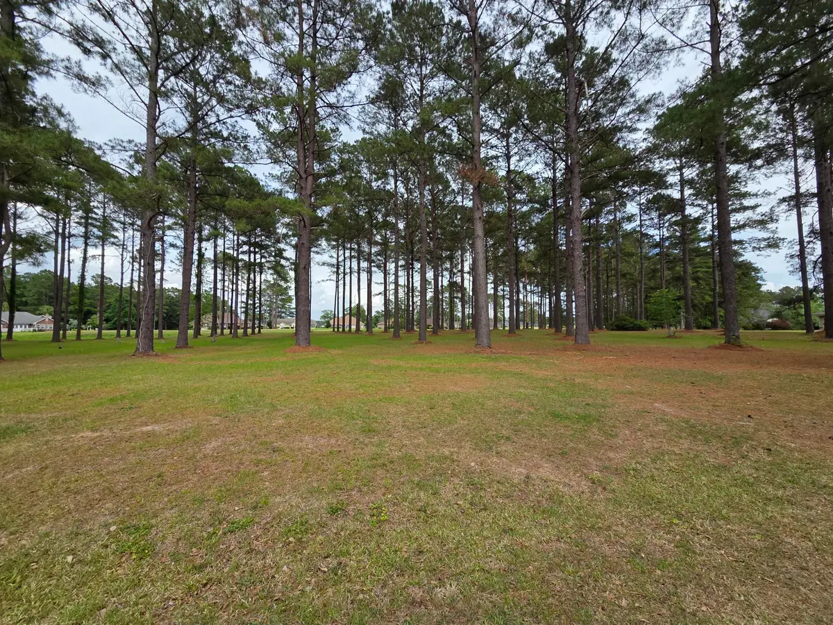 402 Pinelake Court, Manning, SC 29102 - #1