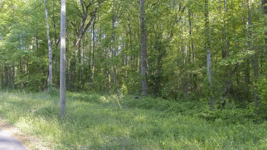 0 Botany Slopes Road, Piedmont, SC 29673 - #3