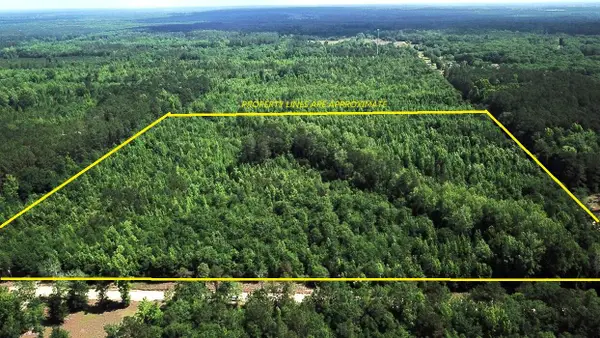 0 New Light Drive, Neeses, SC 29107