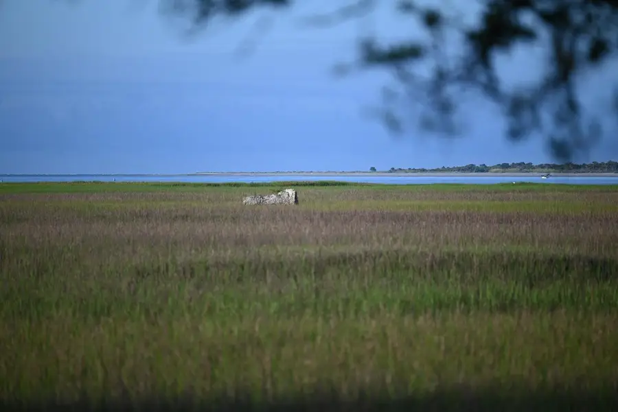 0 Cole Island, Folly Beach, SC 29439 - #2