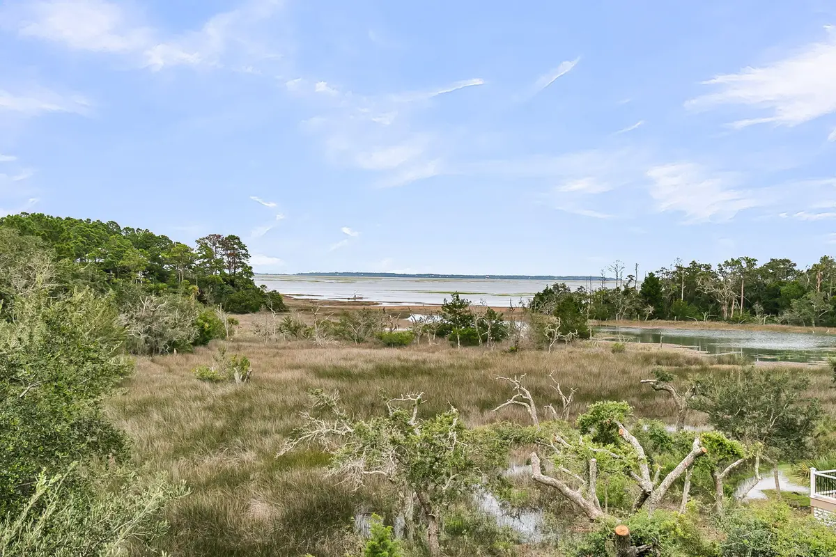 2072 Amenity Park Drive, Mount Pleasant, SC 29466 - #1