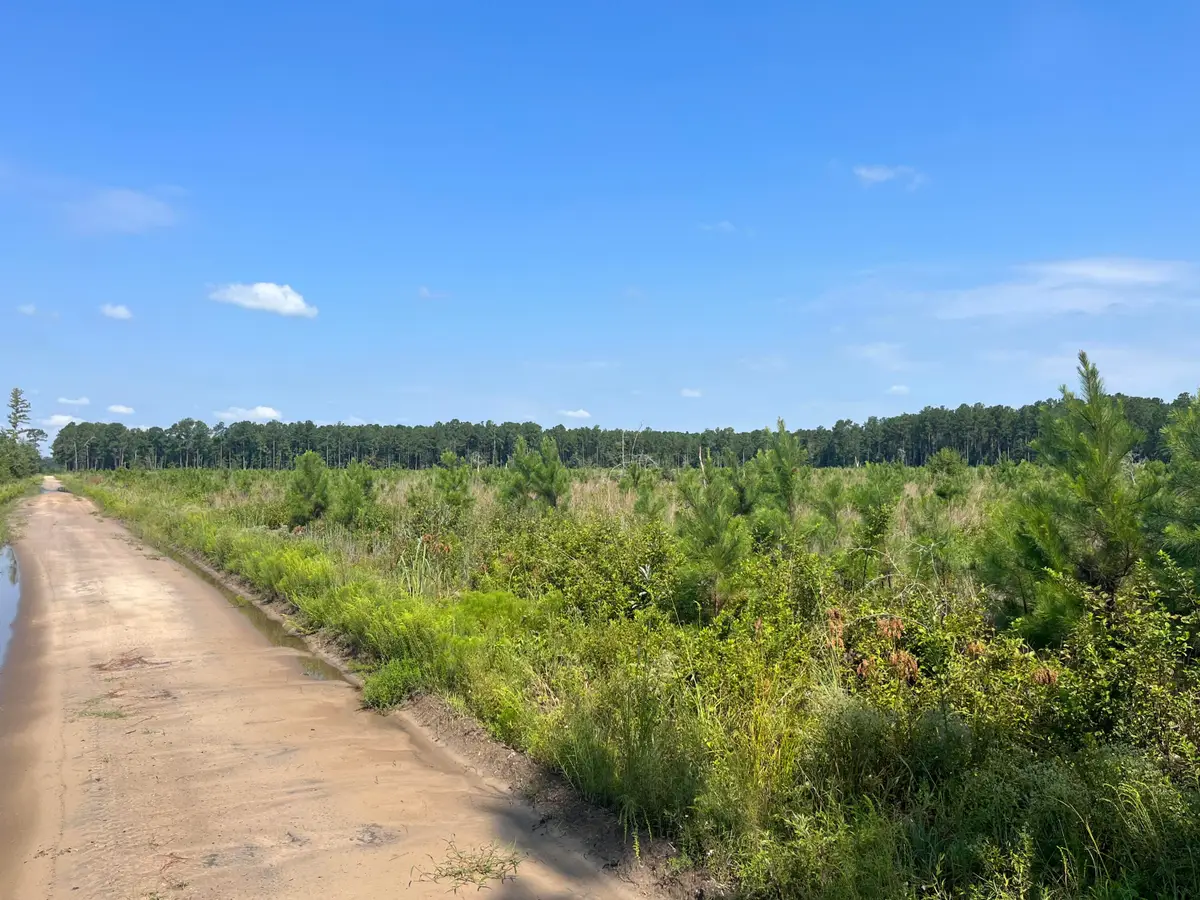 0 Mahogany Lane, Orangeburg, SC 29115 - #1