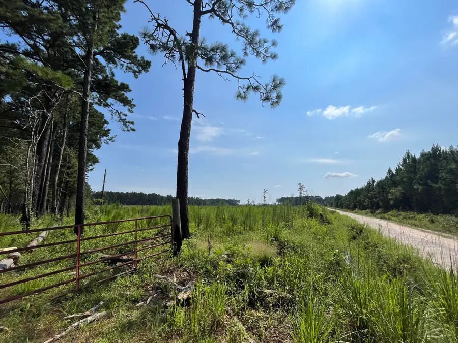 0 Mahogany Lane, Orangeburg, SC 29115 - #3