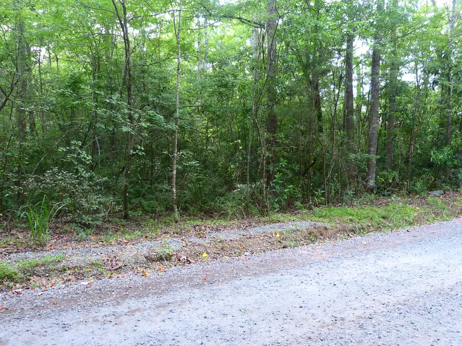 0 Branch Road, Moncks Corner, SC 29461 - #3