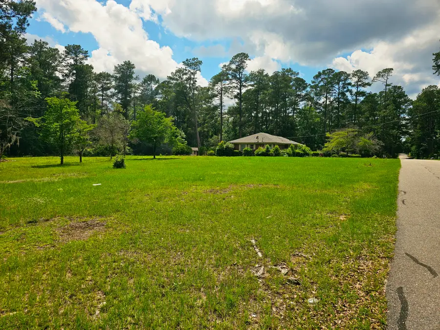 213 Maner Drive, Allendale, SC 29810 - #2