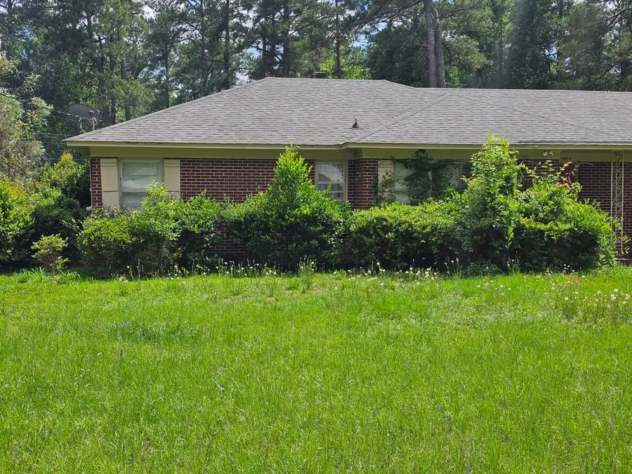 213 Maner Drive, Allendale, SC 29810 - #3