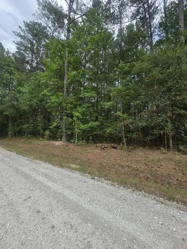 000 Drew Hill Ct., Cottageville, SC 29435