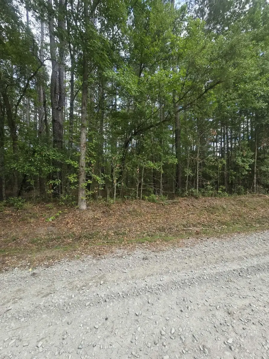 000 Drew Hill Ct., Cottageville, SC 29435 - #3