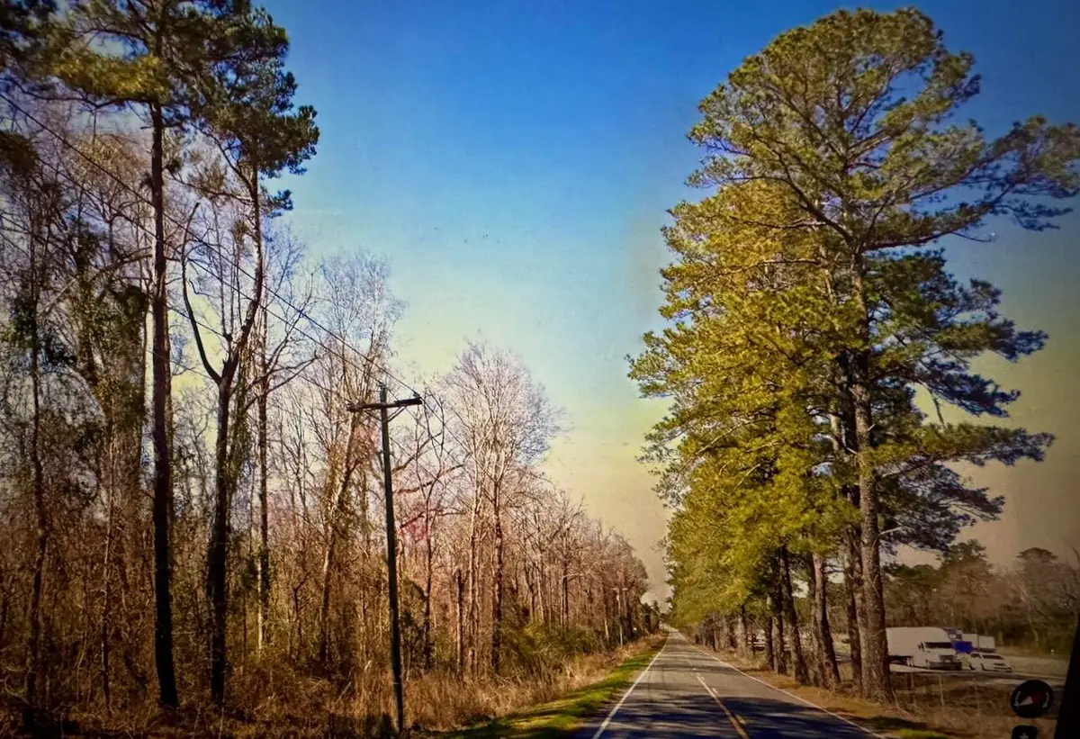 0000 Citadel Road, Orangeburg, SC 29118 - #1
