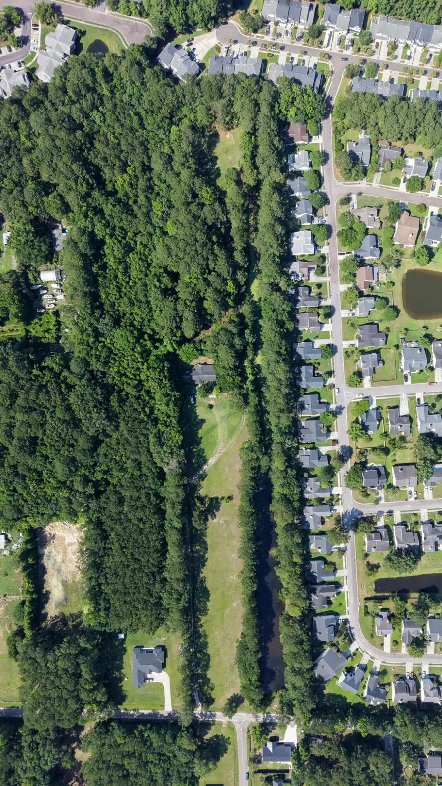 2995 Causey Road, Mount Pleasant, SC 29466 - #3