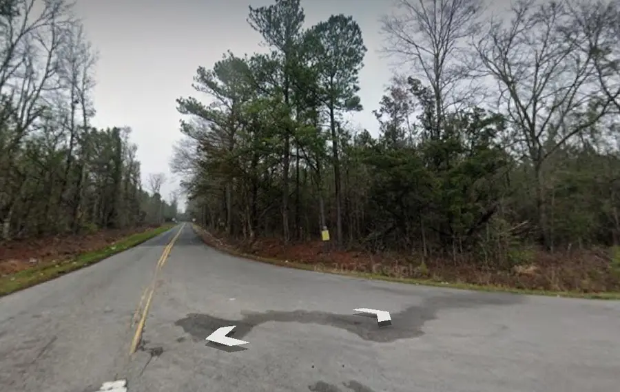 0 Coach Road, Holly Hill, SC 29059 - #2