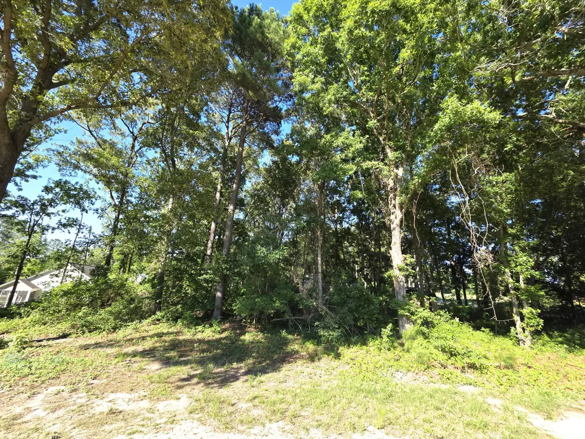 130 Green Court, Santee, SC 29142 - #1