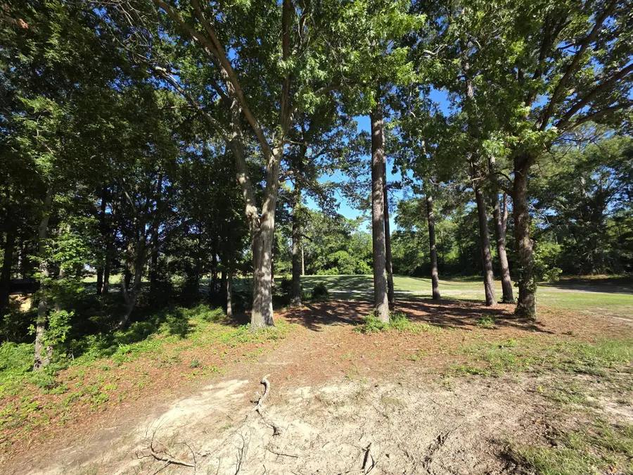 130 Green Court, Santee, SC 29142 - #2