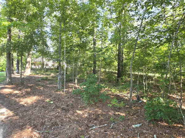 620 Plantation Drive, Santee, SC 29142