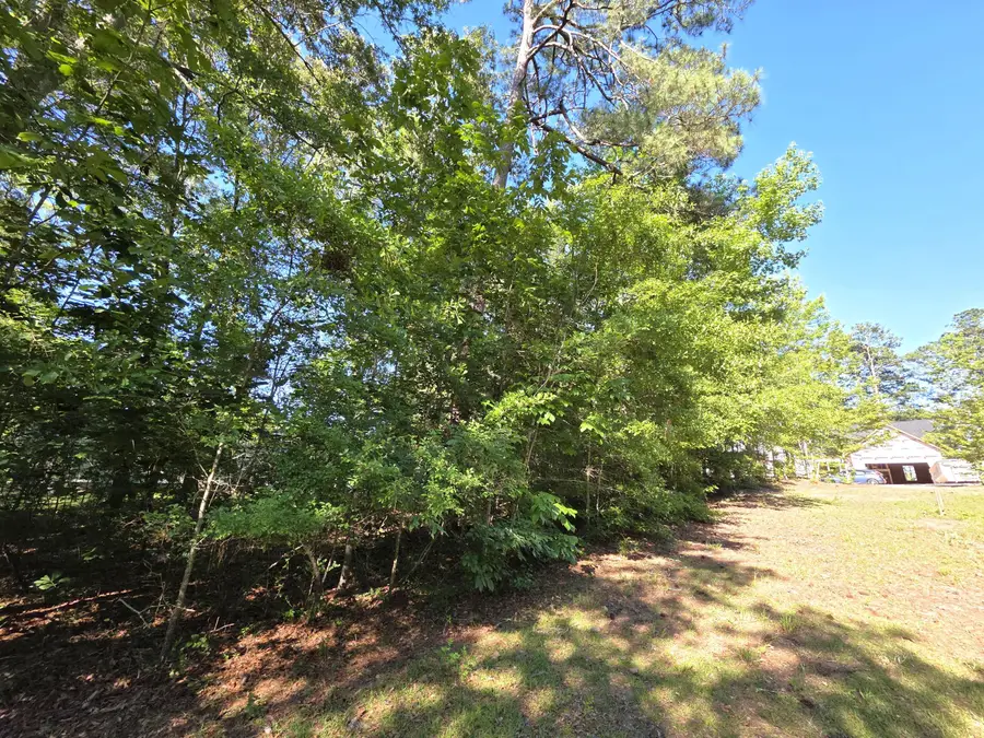 620 Plantation Drive, Santee, SC 29142 - #3