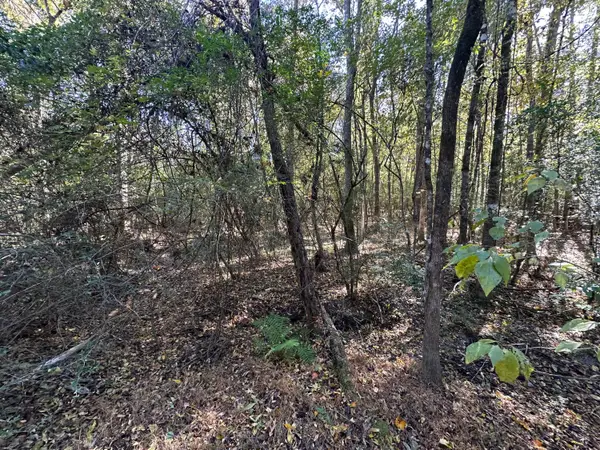 0 Willington Drive, Ridgeville, SC 29472