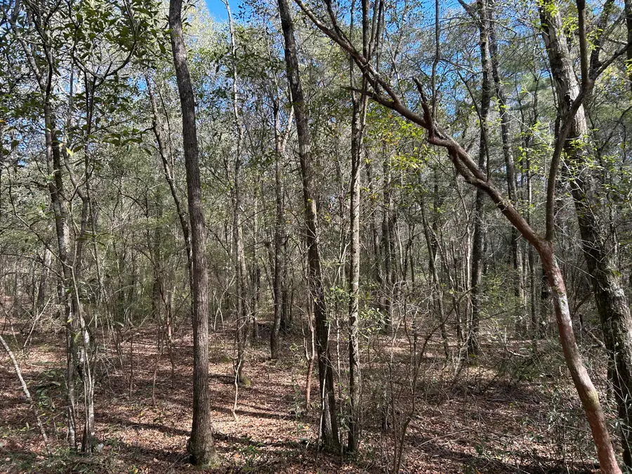 11 Boat Landing Road, Ridgeville, SC 29472 - #2