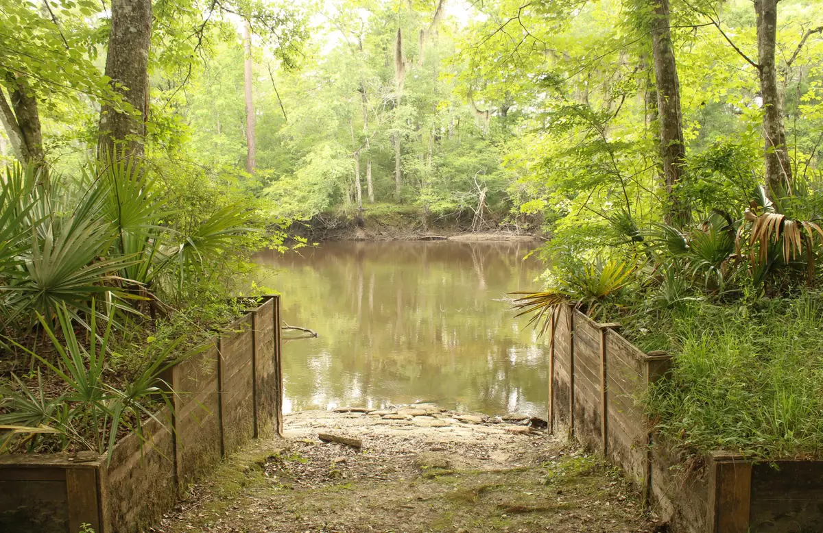 5451 Wire Road, Branchville, SC 29432 - #1