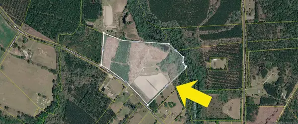 0 A Mt Carmel Road, Walterboro, SC 29488