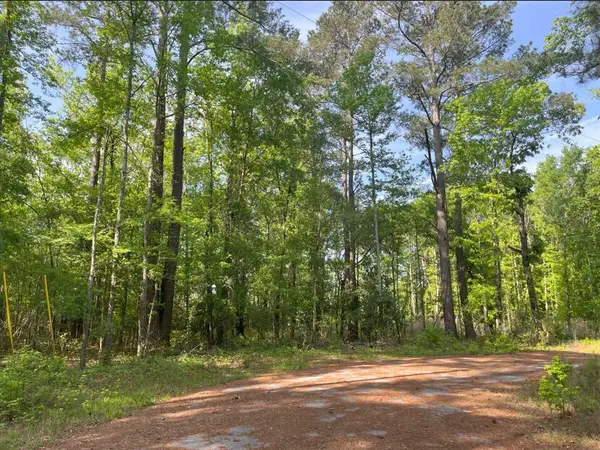 0 Robin Drive, Bamberg, SC 29003