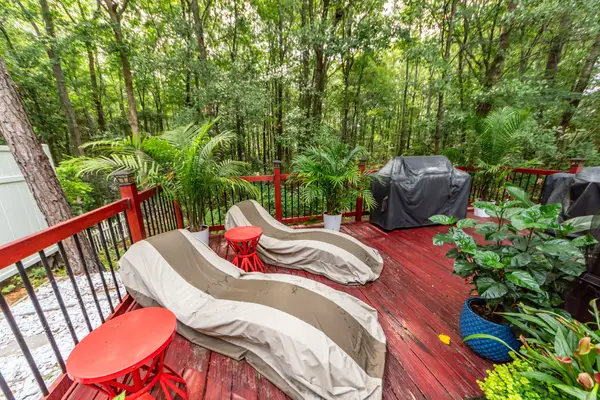 313 Grand Palm Lane, Summerville, SC 29485