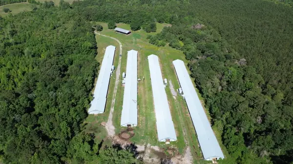 0 Holladay Road, Manning, SC 29102