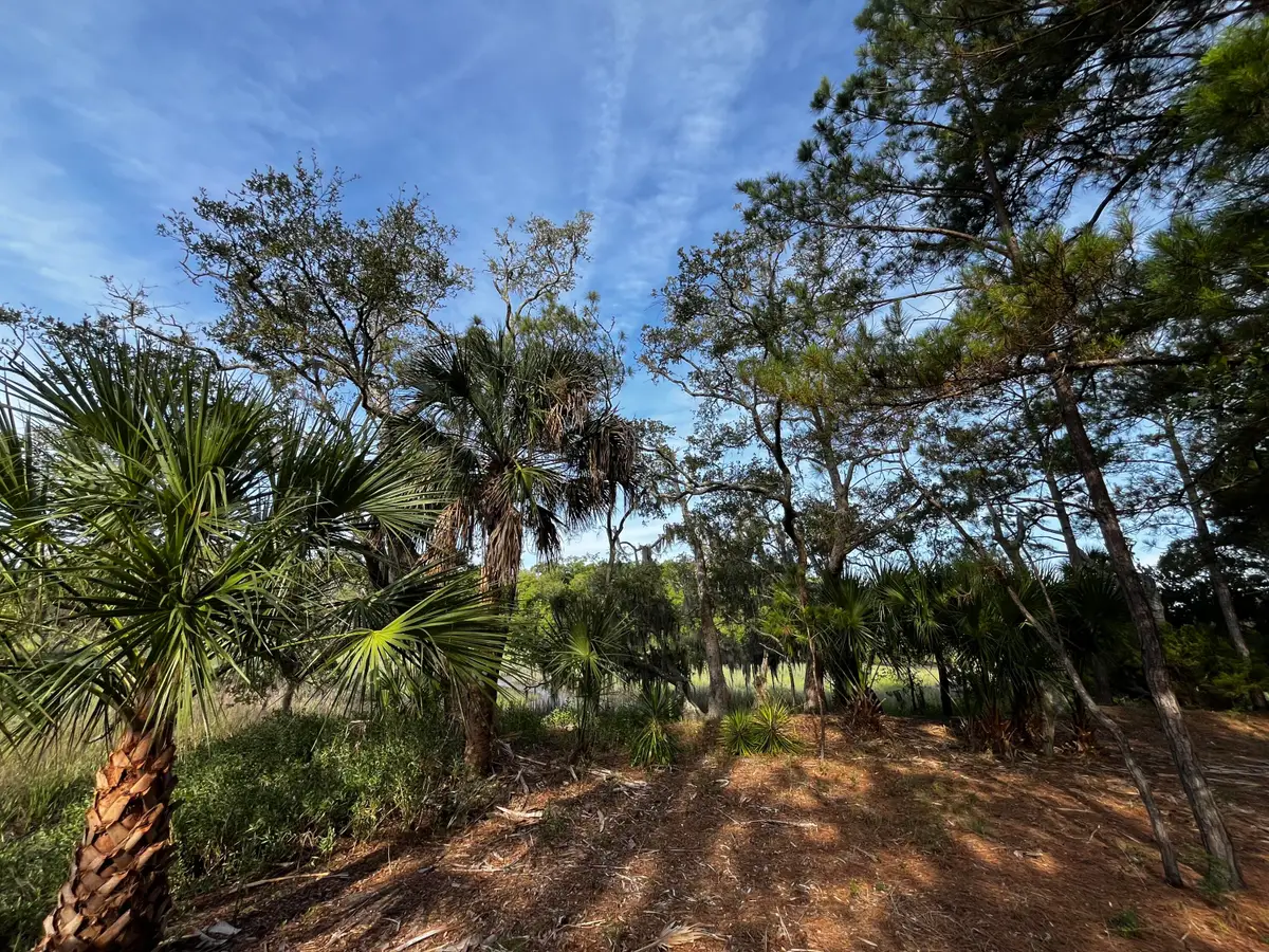 64 Harbor Breeze Drive, Saint Helena Island, SC 29920 - #1