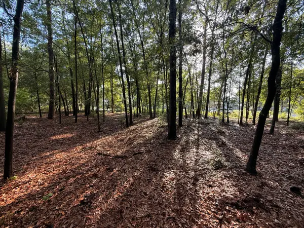 100 Triangle Drive, Summerton, SC 29148
