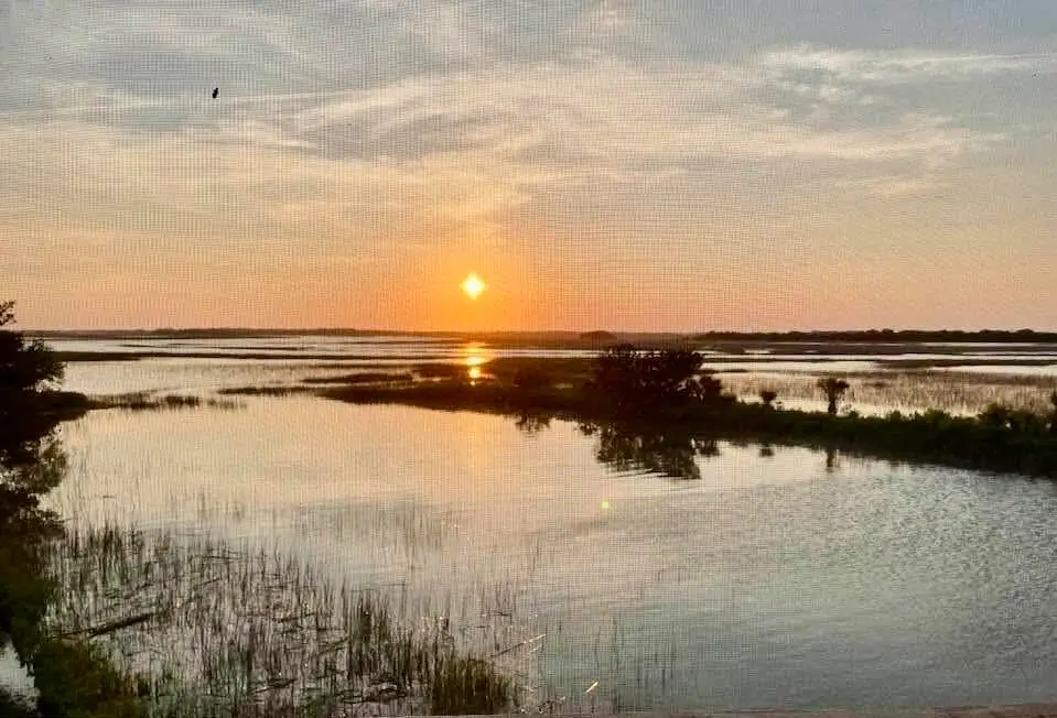 97 Mariners Cay Drive, Folly Beach, SC 29439 - #1