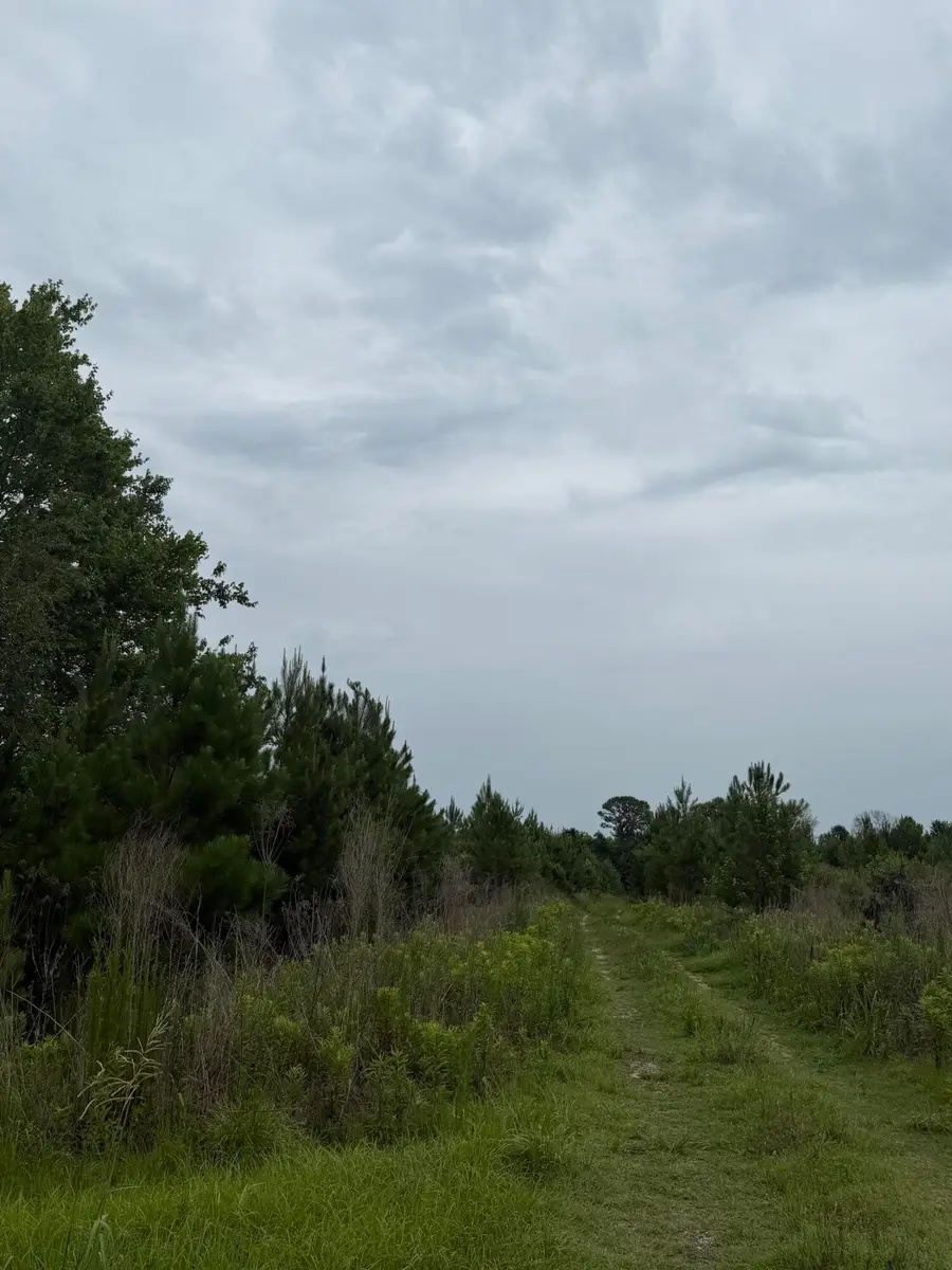 000 State, Holly Hill, SC 29059 - #3