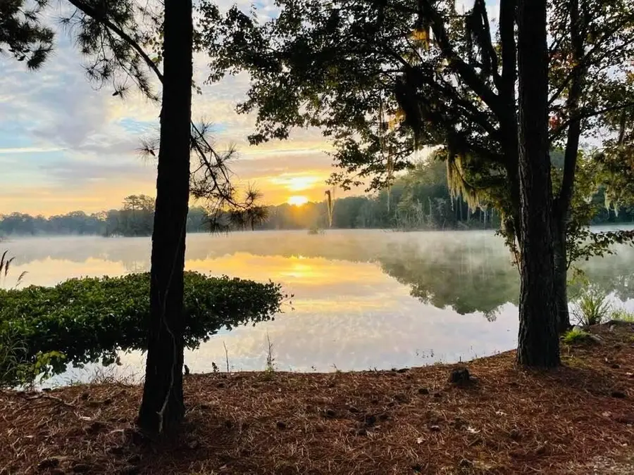 1000 Elk River Run, Summerville, SC 29485 - #2