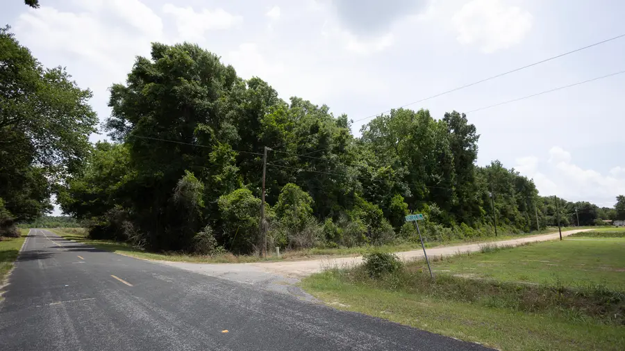 4 Joseph Lemon And Dingle Road, Manning, SC 29102 - #2