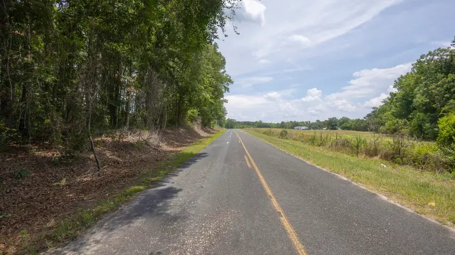 6 Joseph Lemon And Dingle Road, Manning, SC 29102 - #2