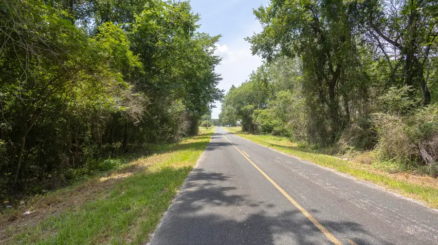 6 Joseph Lemon And Dingle Road, Manning, SC 29102 - #3