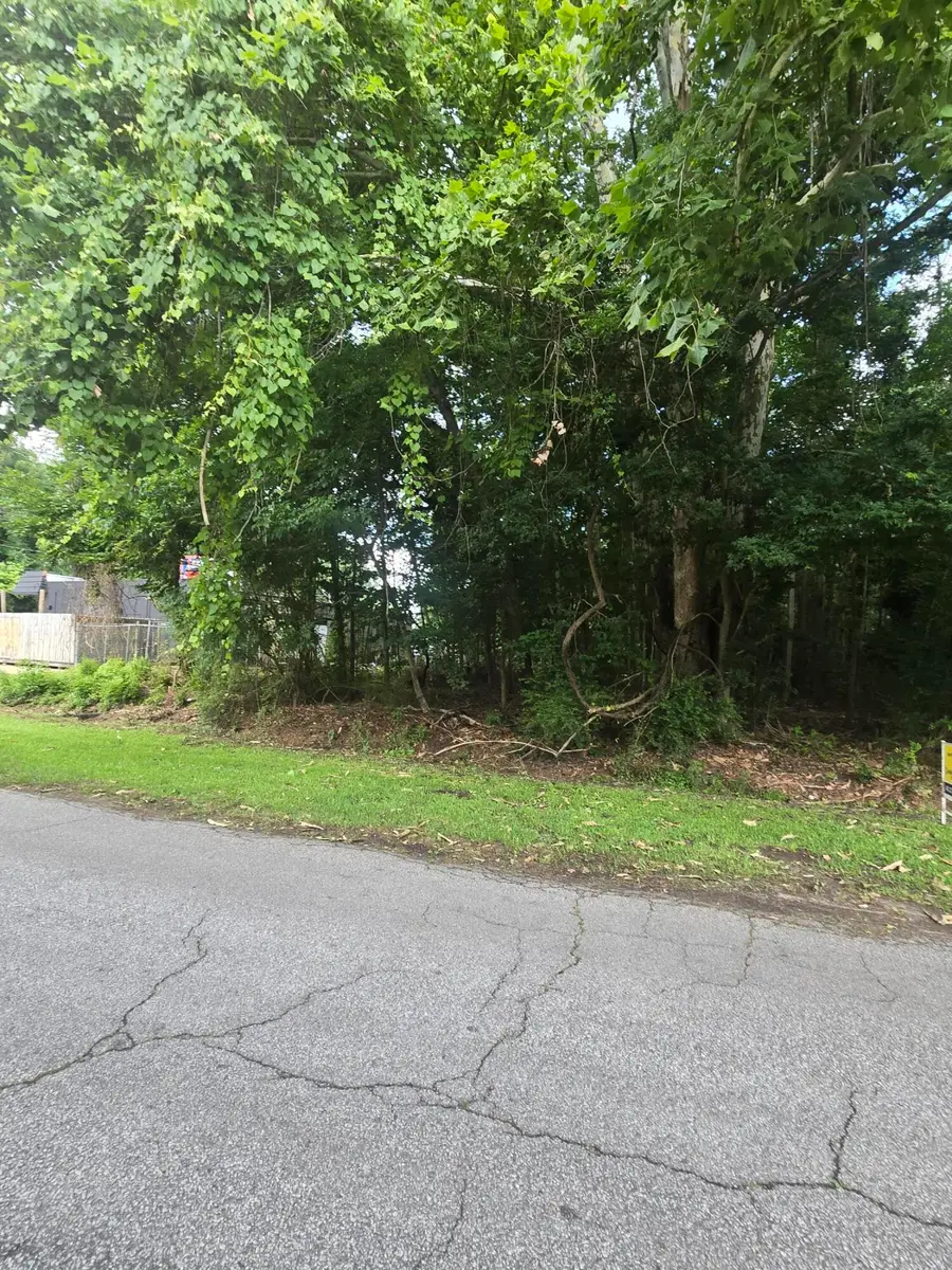 0 Judith Lot 2 Drive, Summerville, SC 29485 - #2