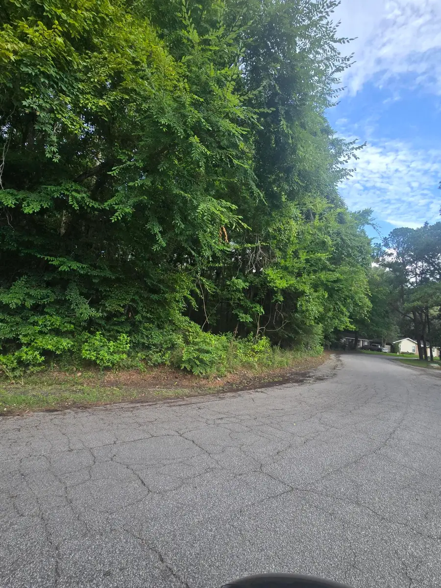 0 Judith Lot 2 Drive, Summerville, SC 29485 - #3