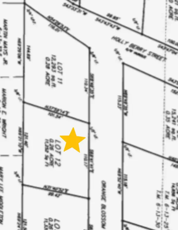 0 Orange Blossom Street, Andrews, SC 29510