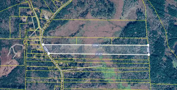 0 Mauss Hill Road, Adams Run, SC 29426