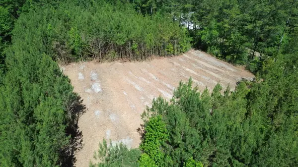 1 Highway 311, Cross, SC 29436