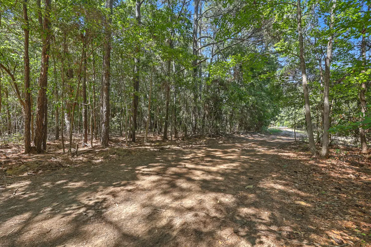 Lot 6 Nelson View Drive, Mount Pleasant, SC 29429 - #1