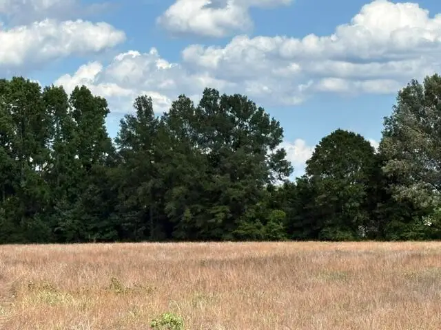 Tbd Liberty Hill Road, Summerton, SC 29148 - #2