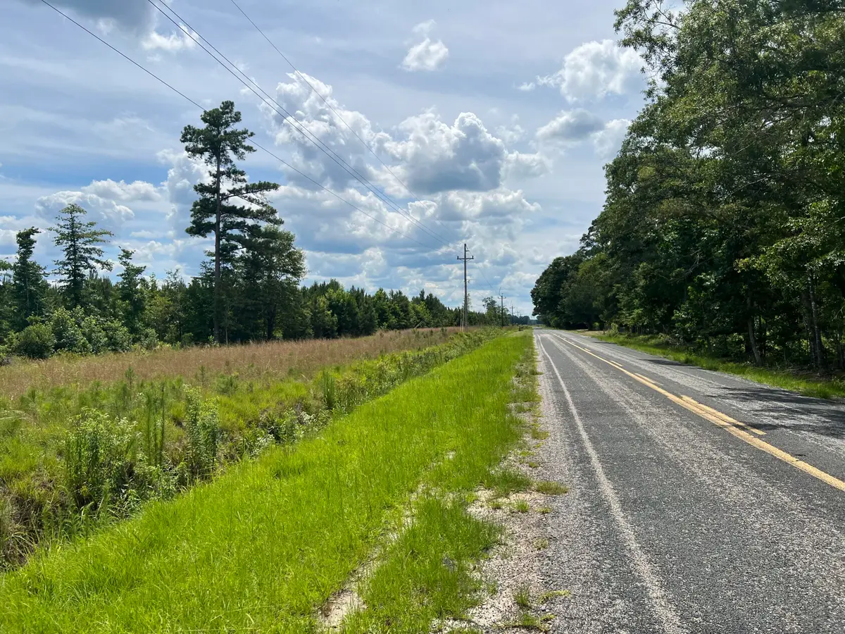 245 Wild Turkey State Rd S-38-465, Cameron, SC 29030 - #1