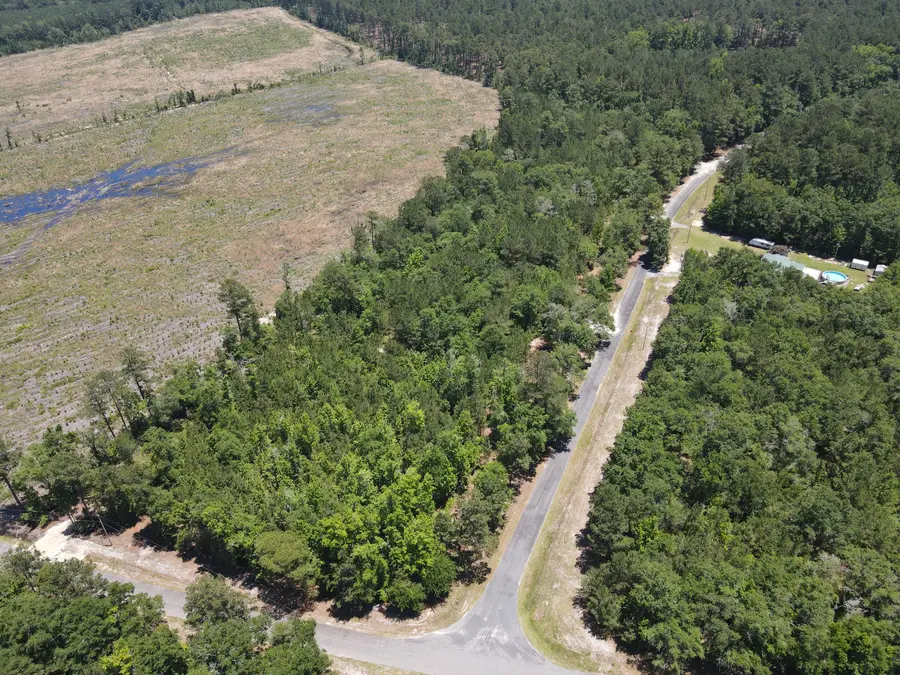 0 Tumbleweed Rd, Smoaks, SC 29481 - #2
