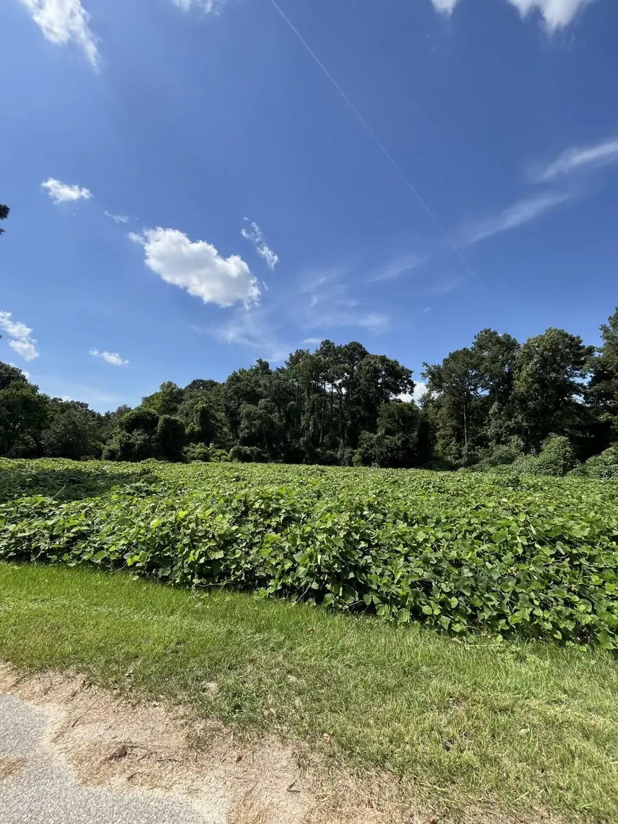 0 Low Country Highway, Ehrhardt, SC 29081 - #3