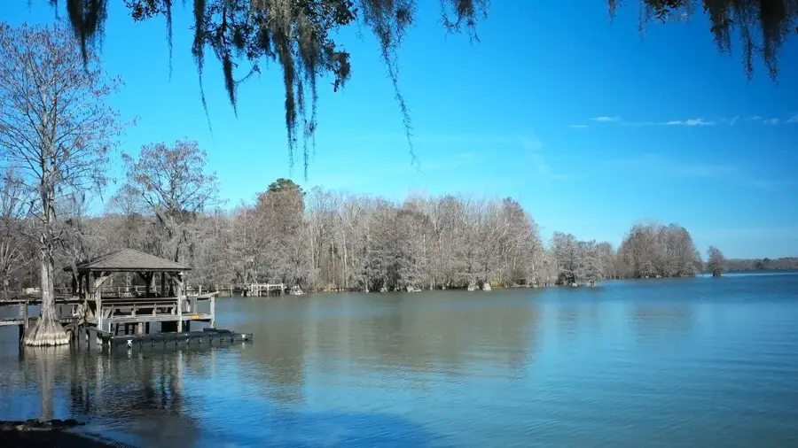 1010 Mulligan Drive, Manning, SC 29102 - #2