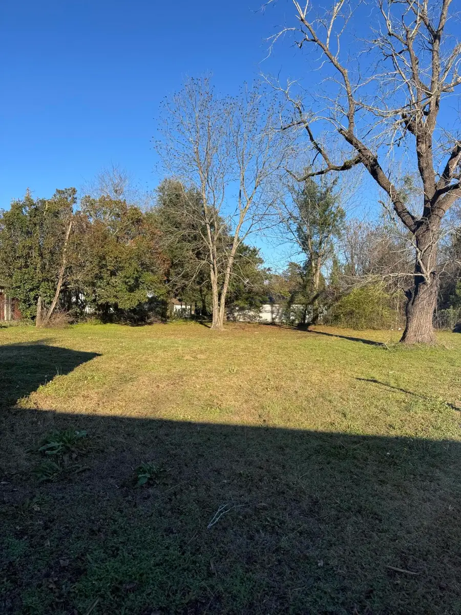 1137 M W Rickenbaker Road, Manning, SC 29102 - #3