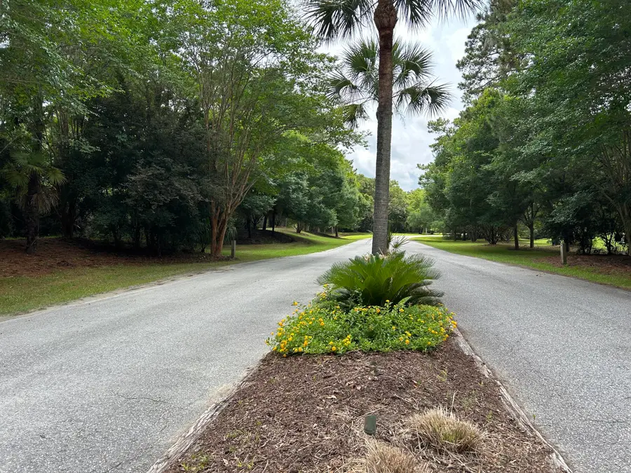 Lot 27 Blackbear Drive, Edisto Island, SC 29438 - #3